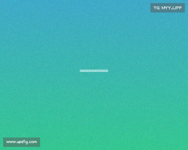 赛事保障申请表—赛事保障申请表怎么写